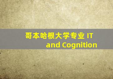 哥本哈根大学专业 IT and Cognition